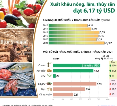 Vietnam 2021 Export Highlights