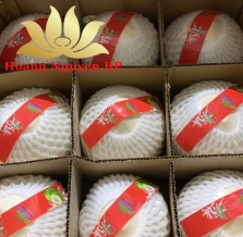Coconut