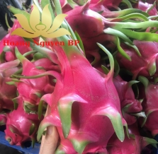 Dragon Fruit