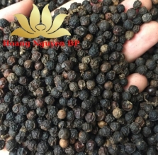 Pepper