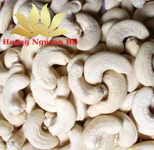 Cashew