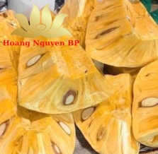 JackFruit