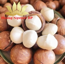 MACADAMIA NUTS