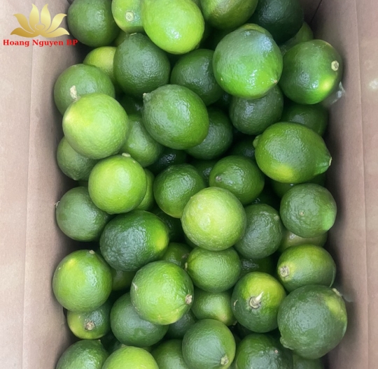 Lemon