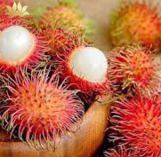 Rambutan