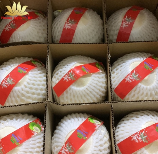 Coconut
