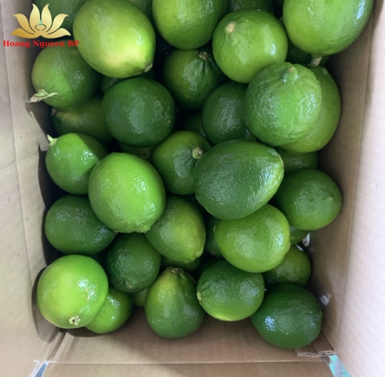 Lemon