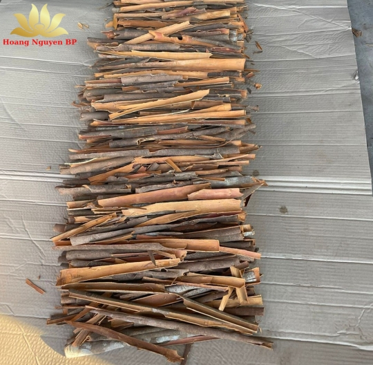 Cinnamon