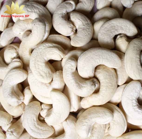 Cashew