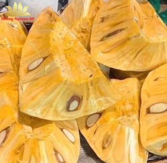 JackFruit