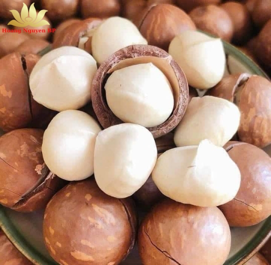 MACADAMIA NUTS